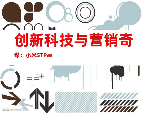 创新科技与营销奇谋：小米STP战略剖析